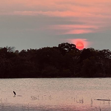 Yala Lake View Cabanas Tissamaharama Ngoại thất bức ảnh
