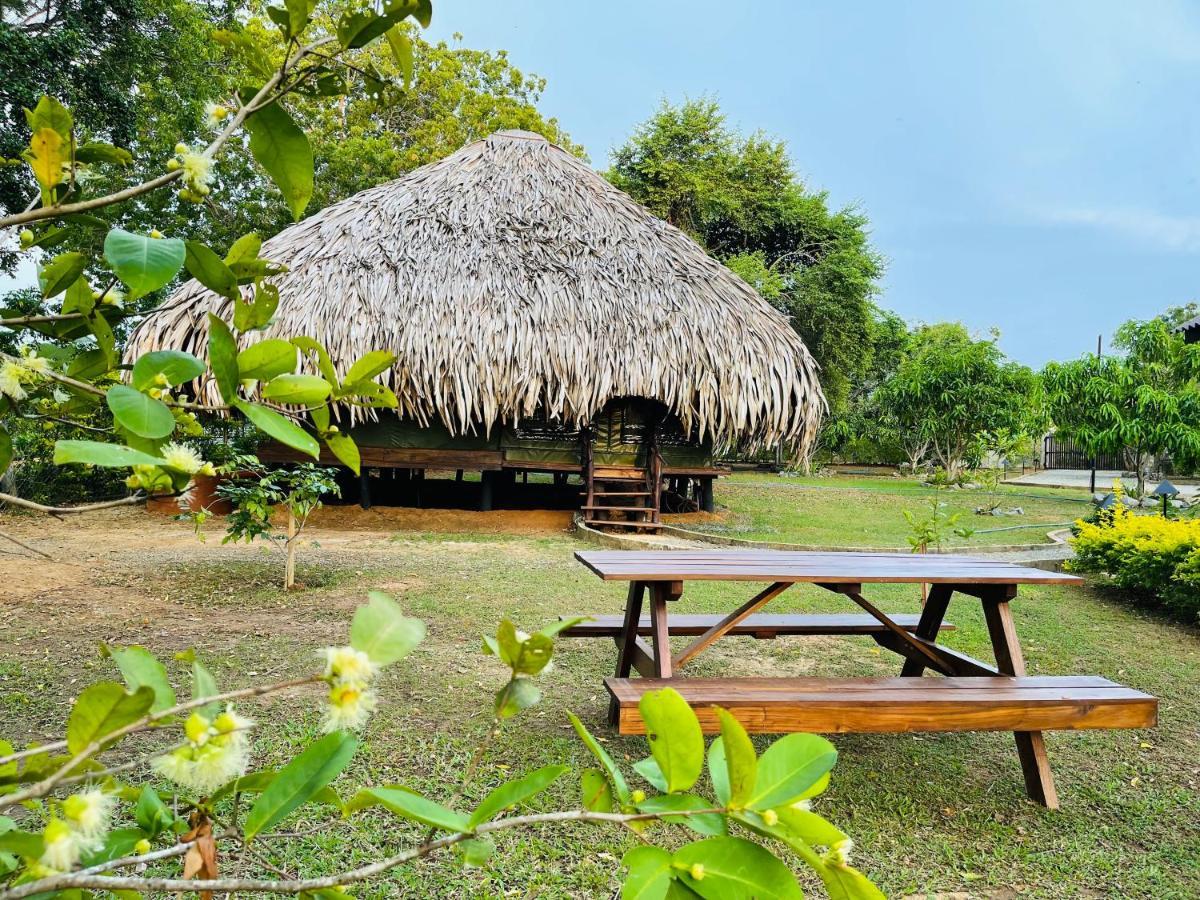 Yala Lake View Cabanas Tissamaharama Ngoại thất bức ảnh